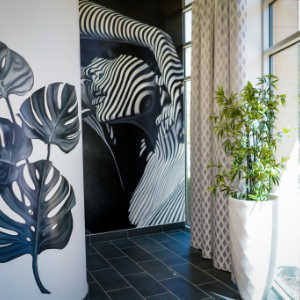 Nowak Aesthetics Celebrates 25 Years of Excellence